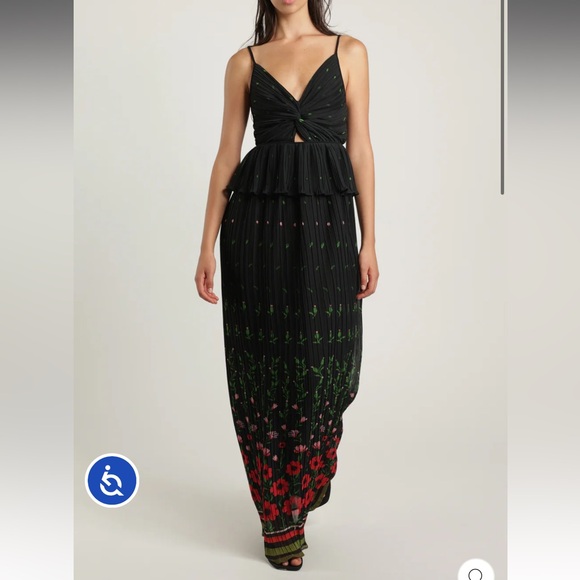 Sabina Musayev Poppy Dipped Pleated Maxi Dress - Picture 4 of 11